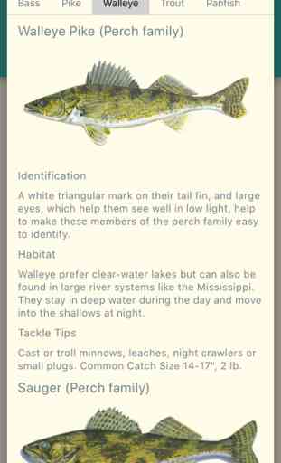 Fishing Expert-Freshwater Fish 2