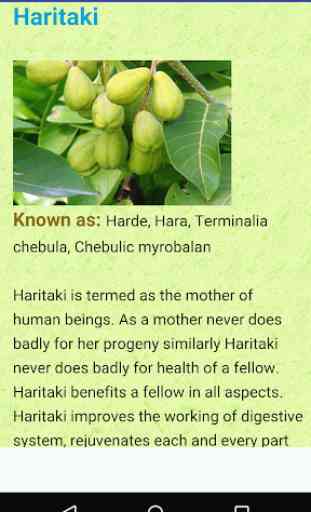Herbs Secrets 2