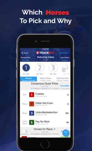 Horse Racing Betting TrackWiz 4