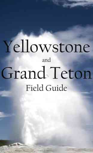 iXplore Yellowstone 1
