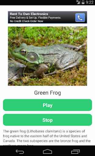 Frog Calls 2