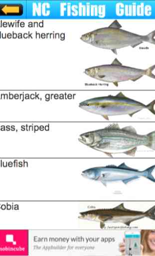 NC Fishing Guide & Limits 1