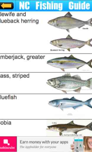 NC Fishing Guide & Limits 4