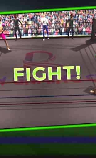 Punch Boxing Fighting Crush 3D 2
