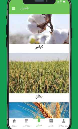 AG Solutions 4