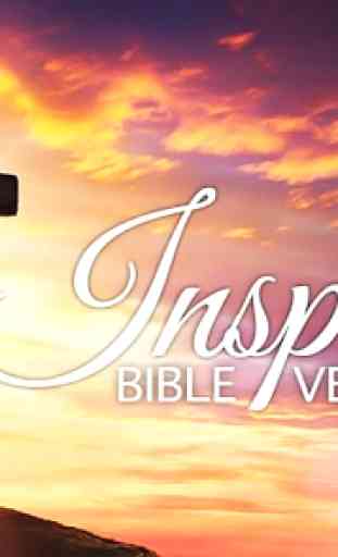 Amplified Bible (AMP) Free 3