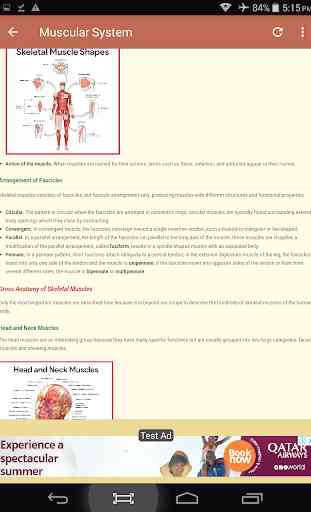 Anatomy & Physiology 3