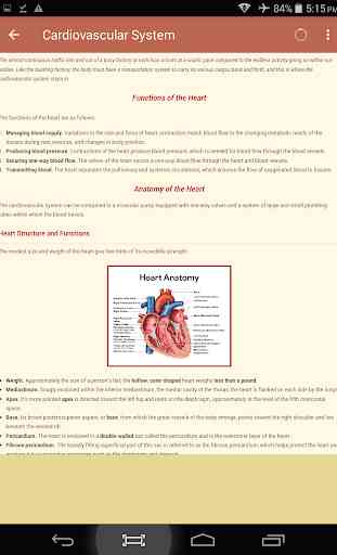 Anatomy & Physiology 4