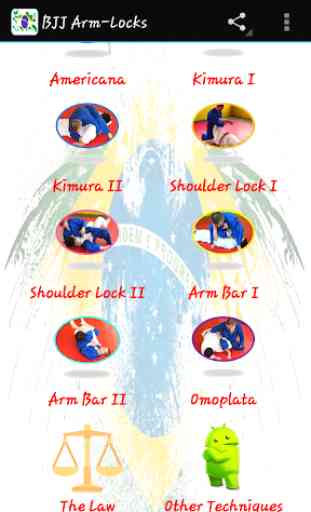 BJJ Arm-Locks 2