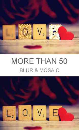 BokashiMaru - Motion Blur & Mosaic Photo Editor 1
