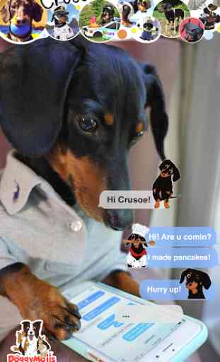CrusoeMoji - Celebrity Dachshund Wiener Dog Emojis 3