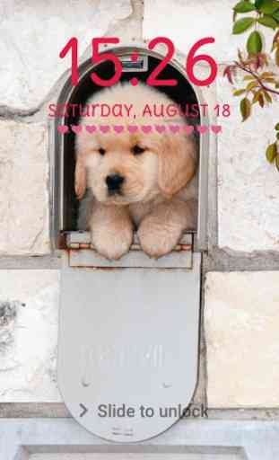 Cute Puppy Lock Screen Cute Puppy Pattern Passcode 1