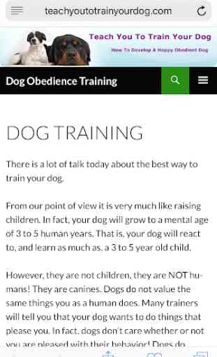 Dog Obedience 3