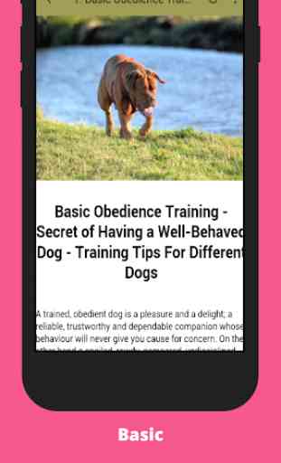 Dog Obedience Training 2
