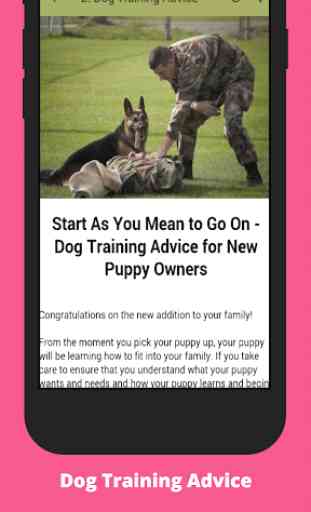 Dog Obedience Training 3