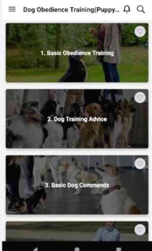 Dog Obedience Training(Puppy Training) 1