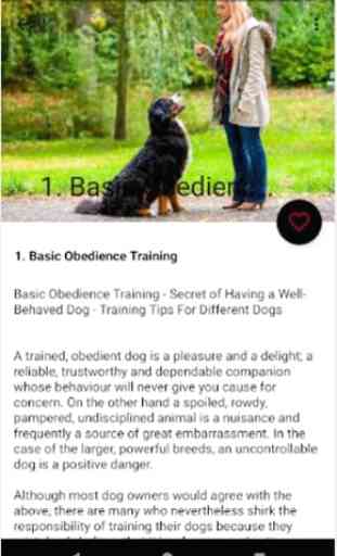 Dog Obedience Training(Puppy Training) 2