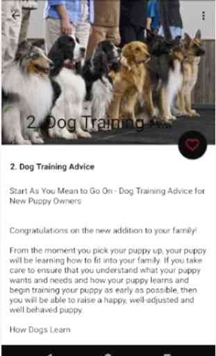 Dog Obedience Training(Puppy Training) 3