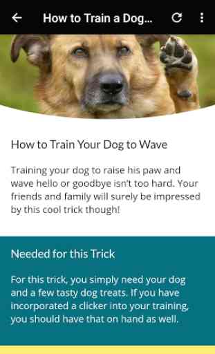 Dog Training App - Best Tricks 4