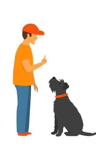 Dog Training & Tricks 3