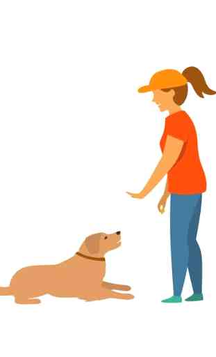 Dog Training & Tricks 4