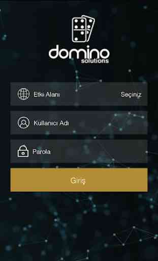Domino Solutions 2