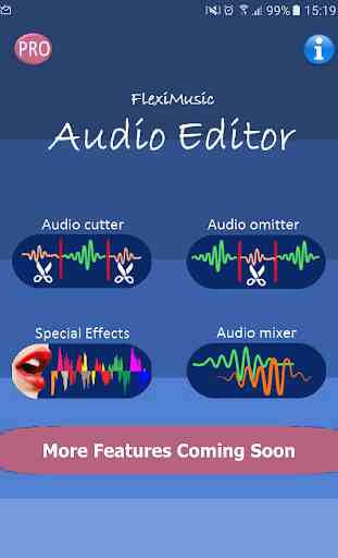 FlexiMusic Audio Editor 1