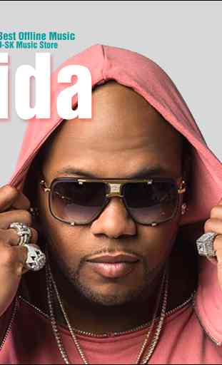 Flo Rida - Best Offline Music 2