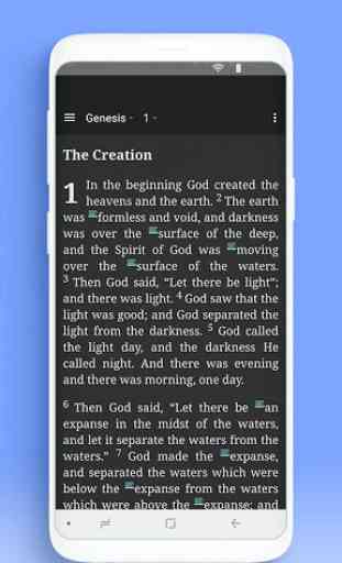 Holy Bible Amplified Bible (AMP) 2