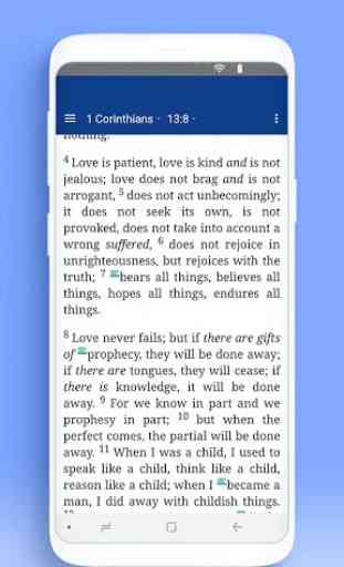 Holy Bible Amplified Bible (AMP) 4