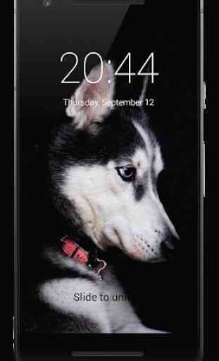 Husky Dog HD Lock Screen 3