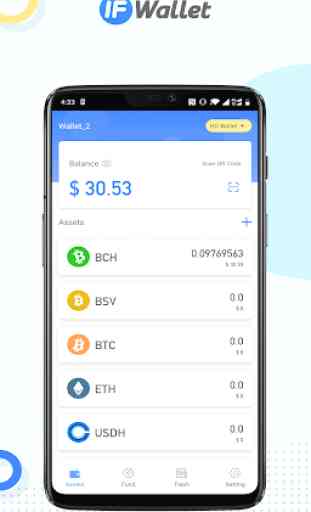 IFWallet-BCH, BSV, BTC, ETH, VNS Coins and Tokens 2