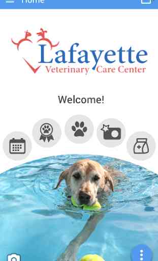 Lafayette Veterinary Care 1