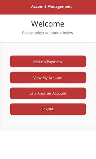 LoanMax - Loan Account Management 3