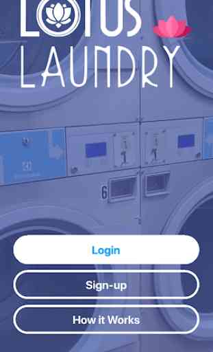 Lotus Laundry Service 1