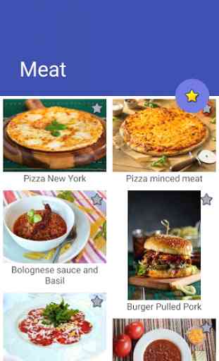 Meat Recipes! Free! 1