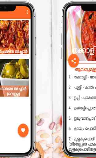 Pickle Recipes In Malayalam 2