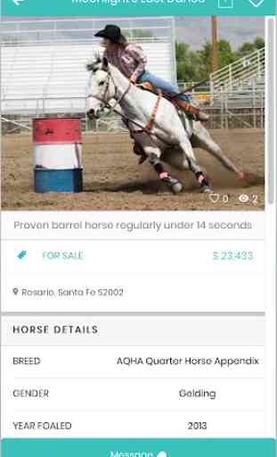 PonyPlace - Buy and Sell Horses and Tack 2