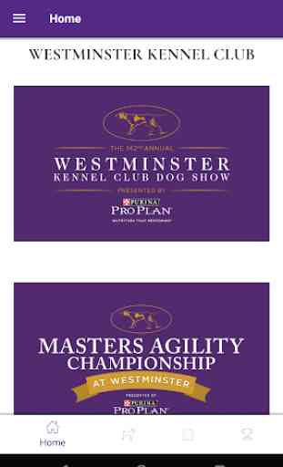 Westminster Kennel Club 1