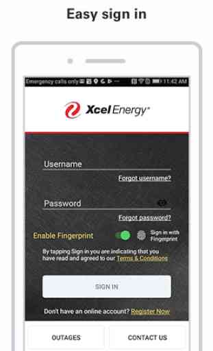 Xcel Energy 1