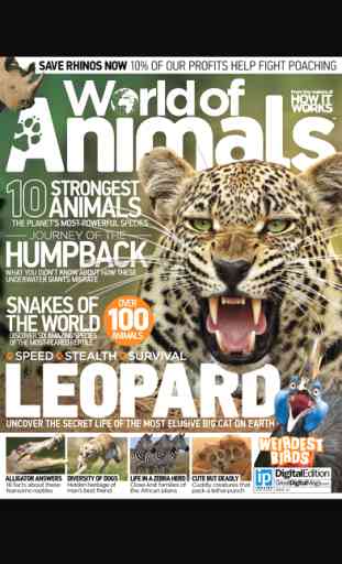 World of Animals Magazine: The best magazine for wildlife and nature 1