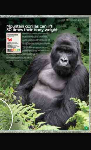 World of Animals Magazine: The best magazine for wildlife and nature 2