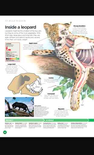 World of Animals Magazine: The best magazine for wildlife and nature 3