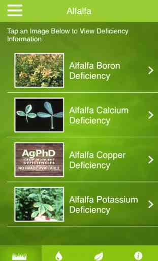 Ag PhD Crop Nutrient Deficiencies 3