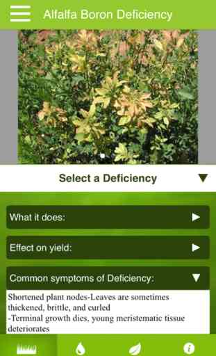 Ag PhD Crop Nutrient Deficiencies 4