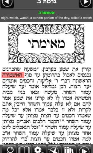 Wolfson Talmud 4