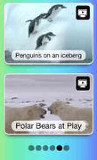 Winter Animals Videos, Games, Photos, Books & Activities for Kids by Playrific 3