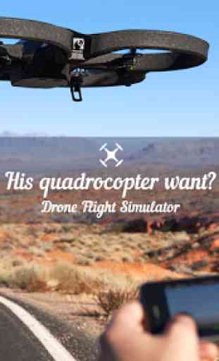 Drone Flight Simulator 2