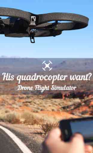 Drone Flight Simulator 4