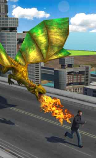 Flying Dragon Mania Simulation 1